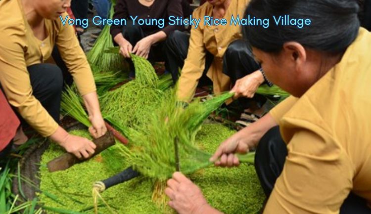 Vong Green Young Sticky Rice Making Village The Craft Villages of Hanoi